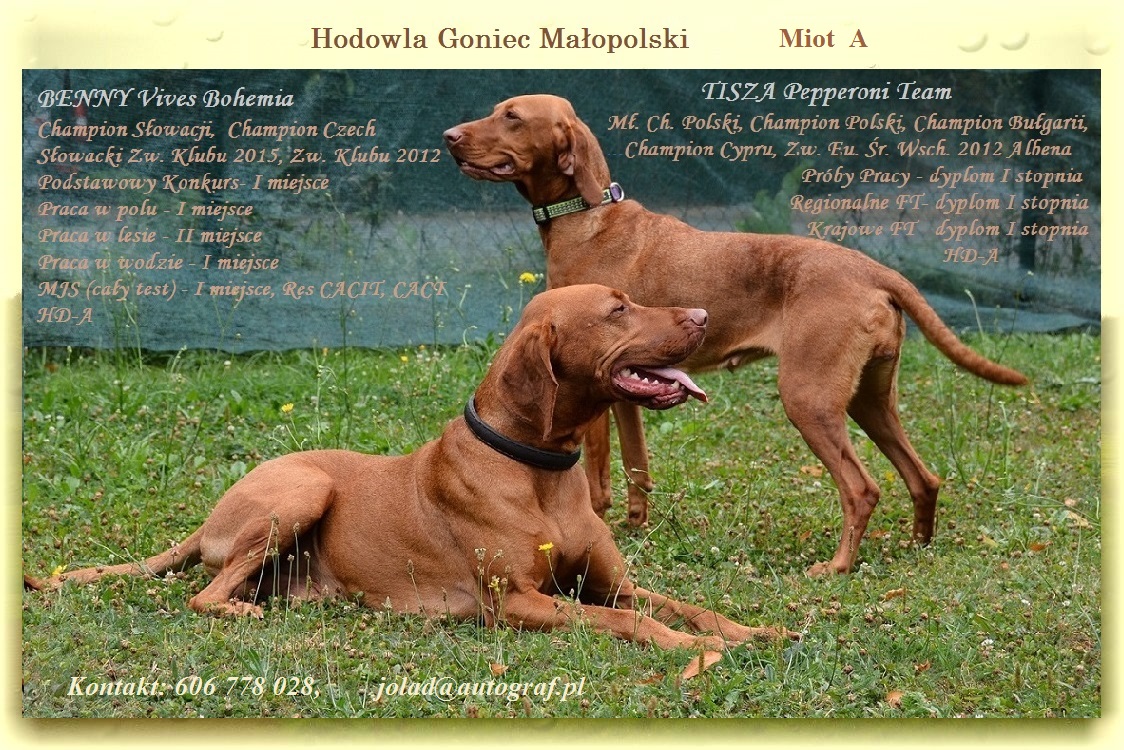 miot A Benny i Tisza